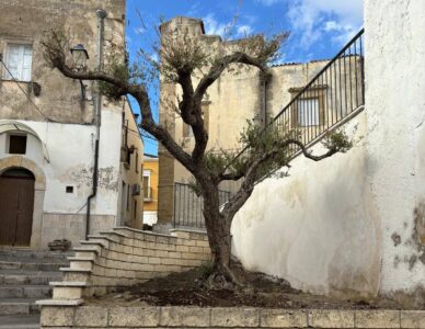 Una goccia al giorno…